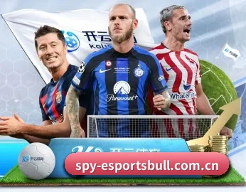 实时比分与赛程查询（dianjingniu）